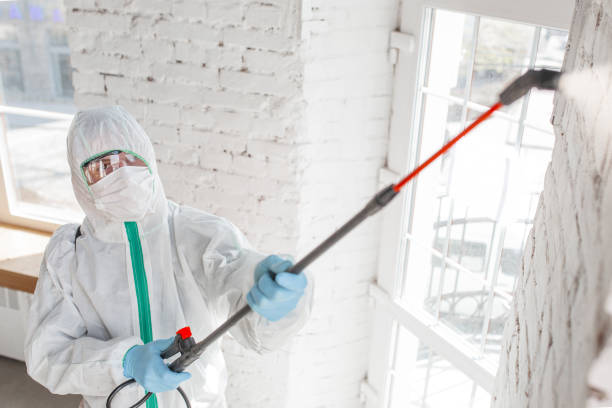 Best Industrial Mold Remediation  in Au Sable, MI