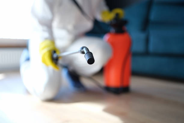 Professional Mold Removal in Au Sable, MI