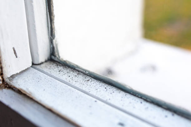 Best Airborne Mold Testing  in Au Sable, MI