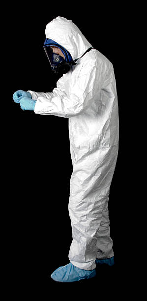 Best Mold Damage Restoration  in Au Sable, MI