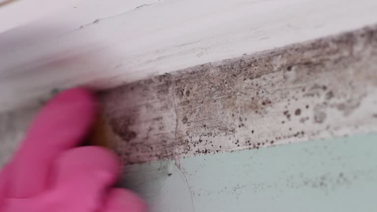 Best Post-Remediation Verification Testing  in Au Sable, MI